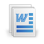 Microsoft Word Document